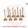 MASTER-SPORT KAMAZ-IN-SET/8/-MS Inlet Valve